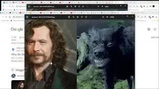 Вадим Шегалов Зачем так серьезно? Сириус- Осирис,Джокер и собаки