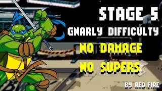 TMNT: Shredder's Revenge - Stage 5 No Damage / No Supers [Gnarly] - Leonardo