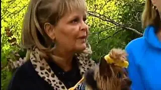 GDW8THURS PAWS PARADE OF HOPE