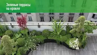 Выступление Шушпановой Ирины Сергеевны на 