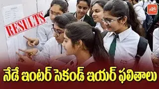 AP Intermediate 2nd Year Results Will be Out at 3.PM Today - Andhra Pradesh News | YOYO TV Channel