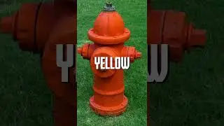 Unlocking the Mystery: Why Fire Hydrants Come in Different Colors?