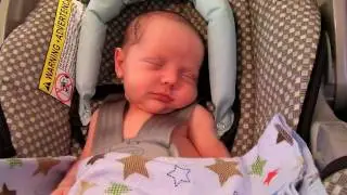 Easton Max Lester