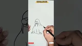 🦭 How to Draw a Cute Walrus &ndash; Simple Step-by-Step Guide for Kids  #WalrusDrawing #DrawingForKids