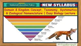 Domain & Kingdom Concept, Taxonomy, Systematics & Zoological Nomenclature  Easy Biology Lecture