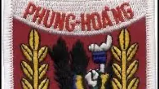 Phoenix Program Short