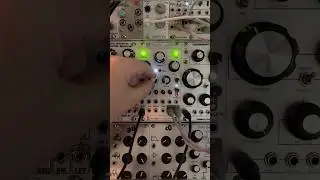 Ethereal LoFi Transformation #eurorack #lofi #lofimusic #ambientmusic #chillbeats