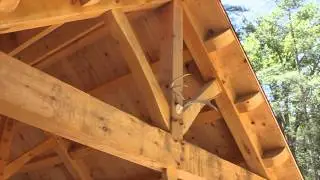 The NEW Nimrod Pavilion