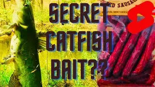 SECRET ULTIMATE CATFISH BAIT Shhhhh!  🔥😎🔥😎 #shorts #fishing #life
