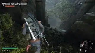 DaysGone  - LITTLE BEAR LAKE HORDE