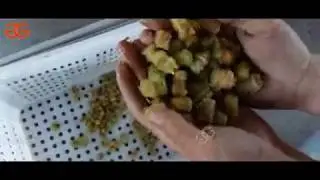 Automatic Plum Stone Removing Machine|Plum Stone Removing Machine Manufacturer