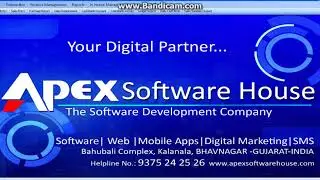 APEX GST BILLING SOFTWARE