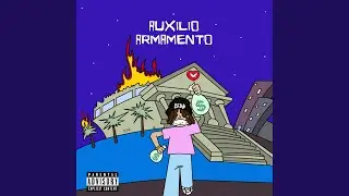 AUXILIO ARMAMENTO