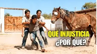 Hermanastros Lo Botaron Con Solo Un Caballo Ciego Como Herencia, Pero Un Secreto Lo Cambia Todo