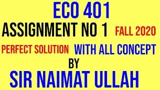 ECO401|assignment no 1 solution 2020|ECO 401|assignment 1|Point|Elasticity|Price|Quantity|Supply.