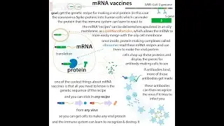 mRNA vaccine biochemistry