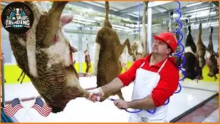 Unveiling China&rsquo;s Goat Farming Fortune &ndash; The Industry Worth $20 Billion