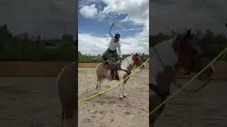&iquest;Quien sabe c&oacute;mo se llama?🔥 #charreria #caballos #charreriaorgullodemexico #todosomosfiro
