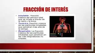 Contaminantes químicos y vías de ingreso al organismo
