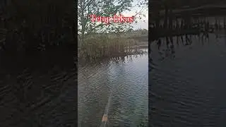 Jangan Lengah #viral #mancing #mancingikanmujaer
