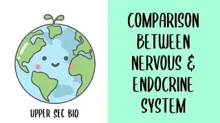 Upper Sec IP Bio: Endocrine System and Comparison between Nervous & Endocrine system