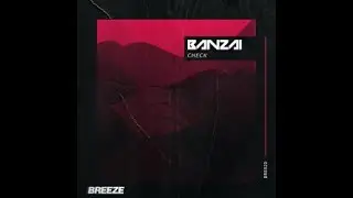 Banzai-Check