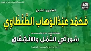 الشيخ محمد عبدالوهاب الطنطاوي | النمل والانشقاق | إذاعة القرآن