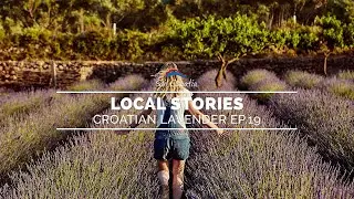 Croatian Lavender: Local Stories Ep 19