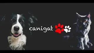 CANIGAT #perro #gato