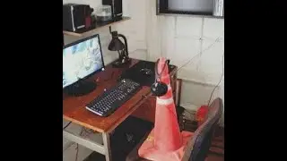 EN VIVO SERVIDOR 