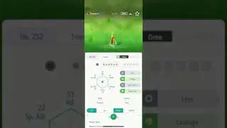 Pok&eacute;mon GO Treecko