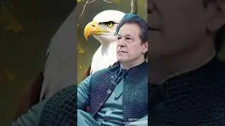804#viralvideo#automobile #electrician#imrankhan#facts #electronic#automobile#machine #duet#machine