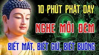 Nghe Phật Dạy Trước Khi Ngủ 🌙 Lúc Khó Khăn, Nghe Để Biết Giữ, Biết Buông | Phật Pháp Tỉnh Giác