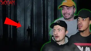 Мы слышим НЕОБЪЯСНИМЫЕ звуки в КРИЧАЩИХ ЛЕСАХ