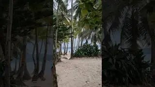 Boracay, February 2025 | ボラカイー
