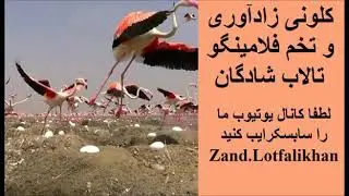 Unique Cities in IRAN