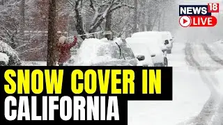 Winter Storm Blankets Southern California In Snow | California Snowstorm Live Updates | USA News