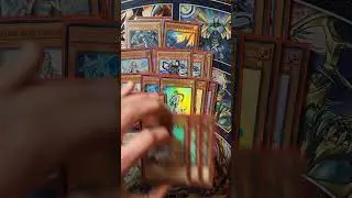 Yu-Gi-Oh Blue-Eyes Invoked Deck Profile in 60 Seconds #yugioh #shorts #blueeyes