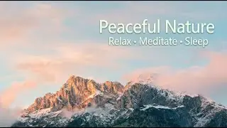Peaceful Nature Ambience with Soothing Music | Relax, Meditate & Sleep | Soothing Rays Music