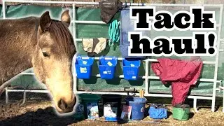 I SAVED OVER $400 AT 4-H TACK SALE! TACK HAUL!