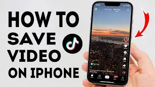 How To Save TikTok Video on Gallery on iPhone - Full Guide