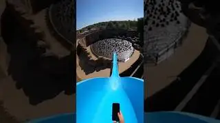 water slide into pool full of gorilla #short #funny #meme