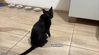 A CULPA &Eacute; SEMPRE DELES !! 