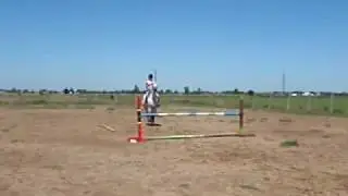 jumping sky, 3 foot 5 inches? i think