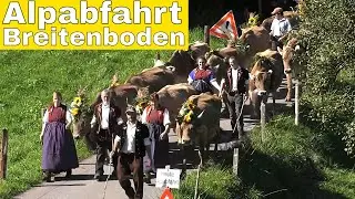 Alpabfahrt Breitenboden 2018