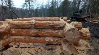 Сруб бани в диком стиле!