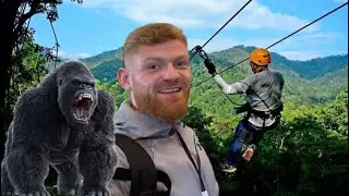 King Kong Zip line Chaing Mai🦍🇹🇭