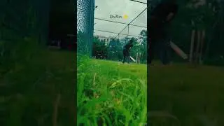 classic shots in tennis ball cricket