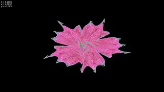 グモウスキー・ミラの写像 : 開花