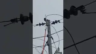 transformer exploding 🤯💥💥💥